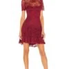 X REVOLVE Leilani Mini Dress Burgundy