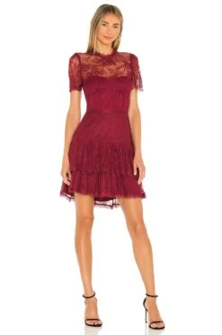 X REVOLVE Leilani Mini Dress Burgundy