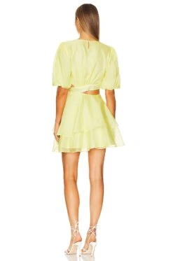 Bardot Enya Organza Mini Dress Sunshine 5 Bardot Enya Organza Mini Dress Sunshine -Bardot Store BARD WD611 V3